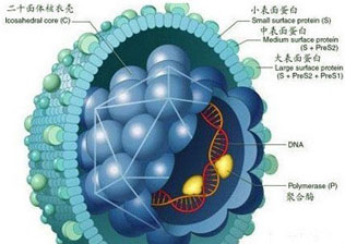 性病医院